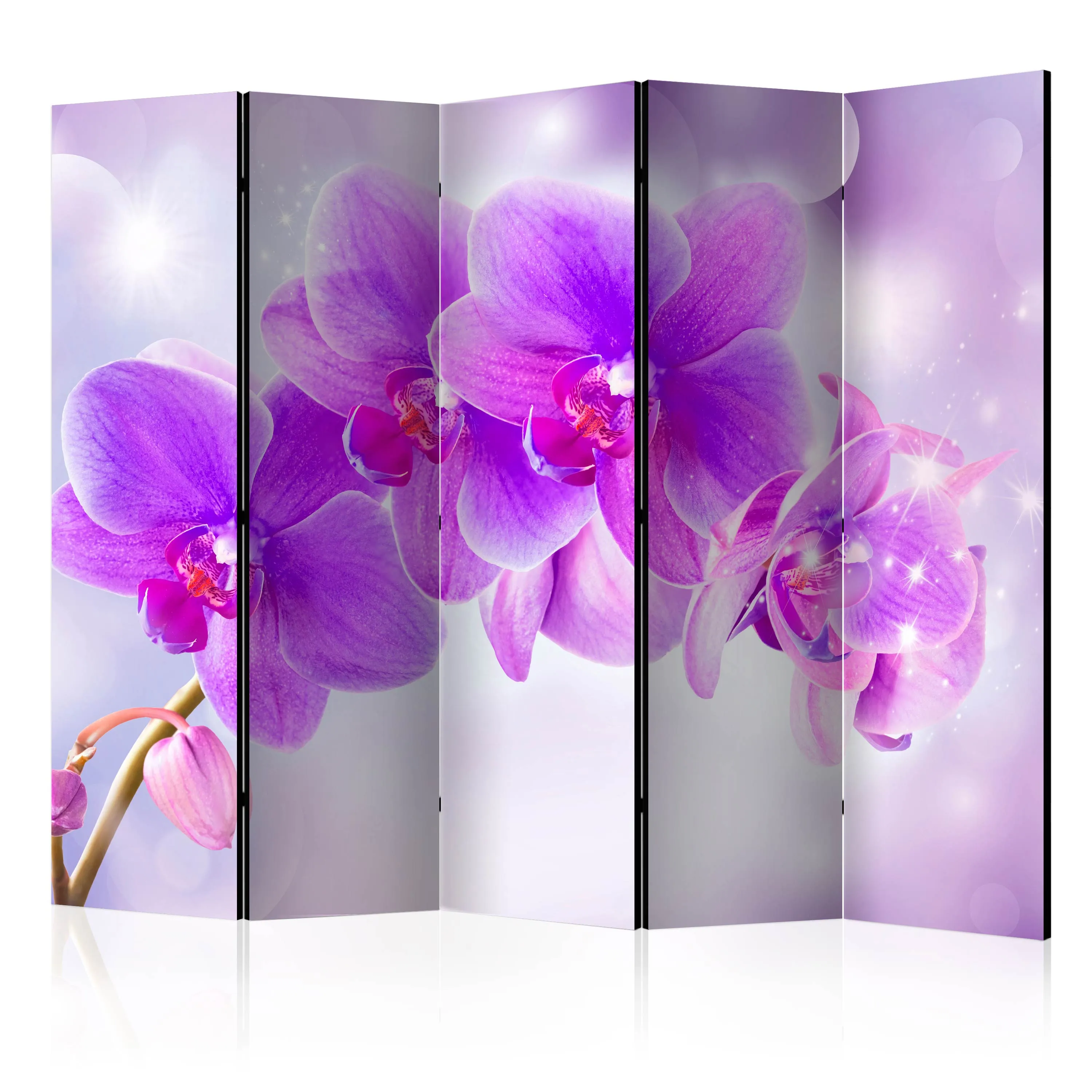 Paravento Purple Orchids II [Room Dividers]