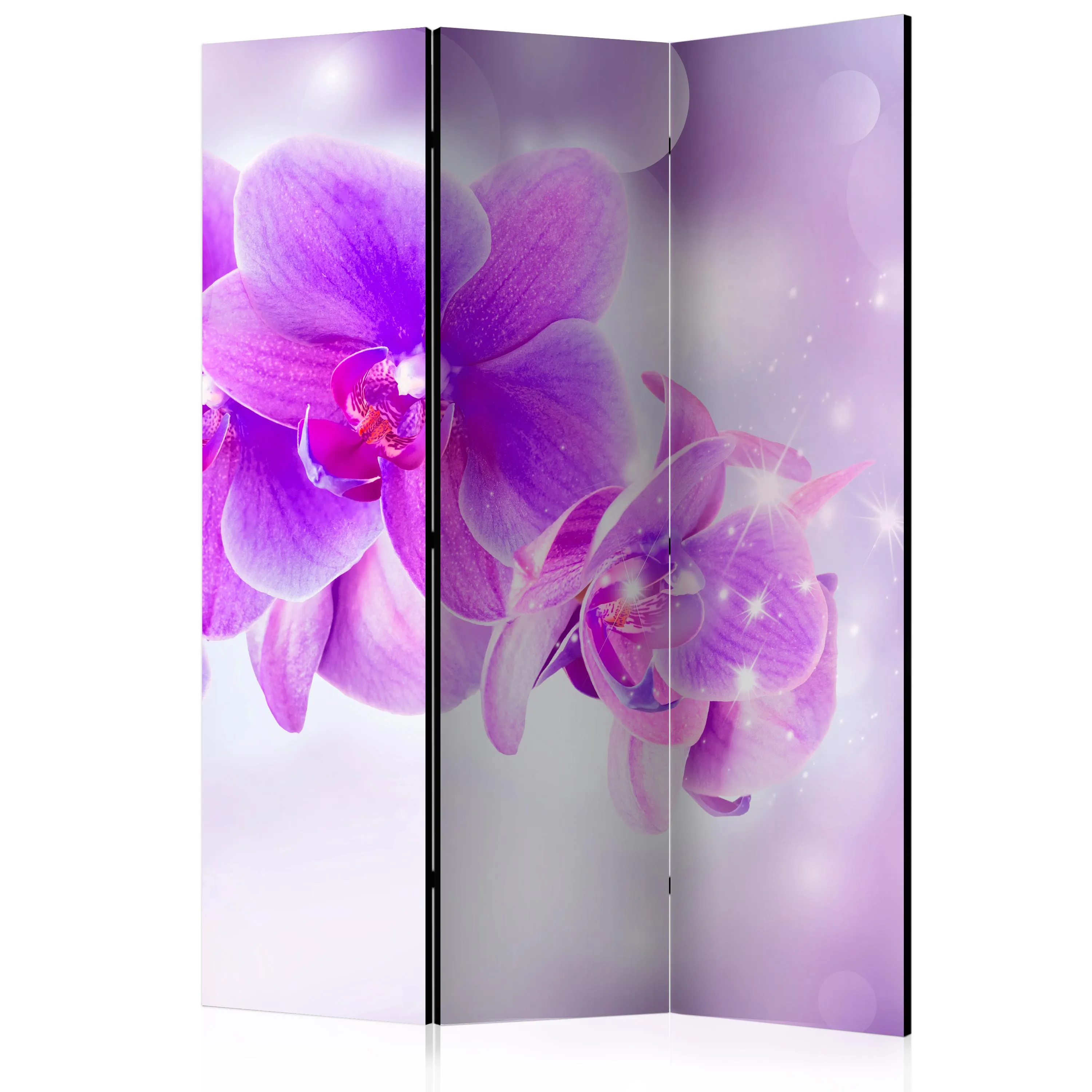 Paravento Purple Orchids [Room Dividers]