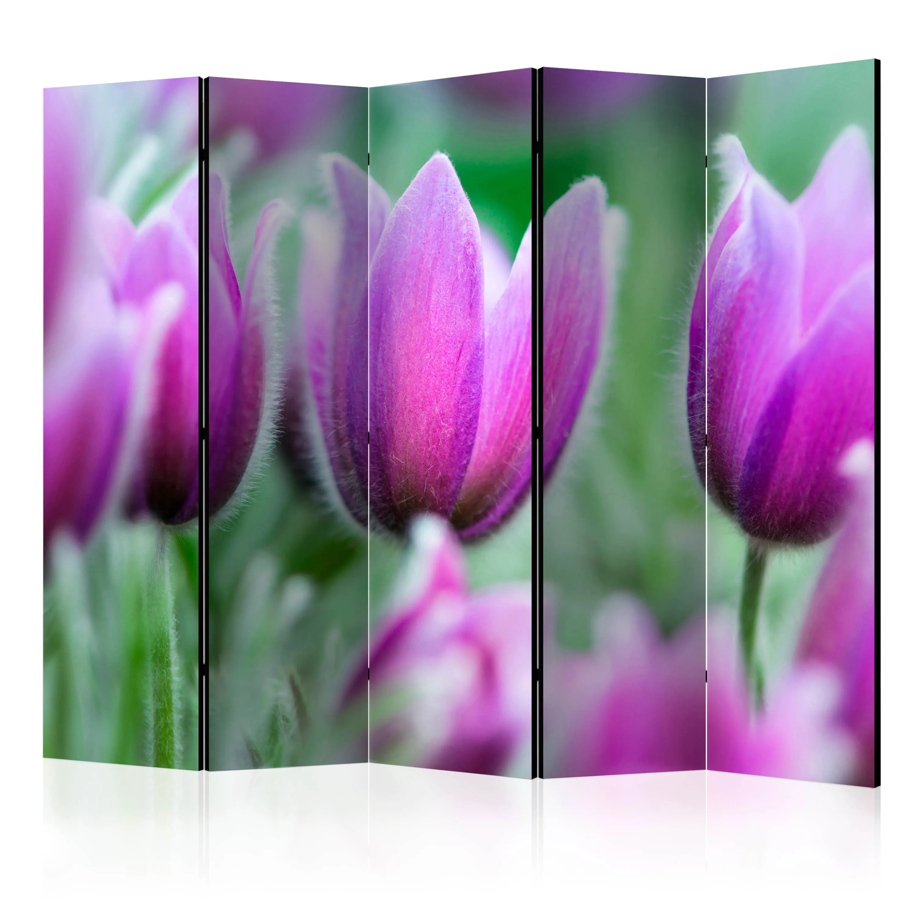 Paravento Purple spring tulips II [Room Dividers]