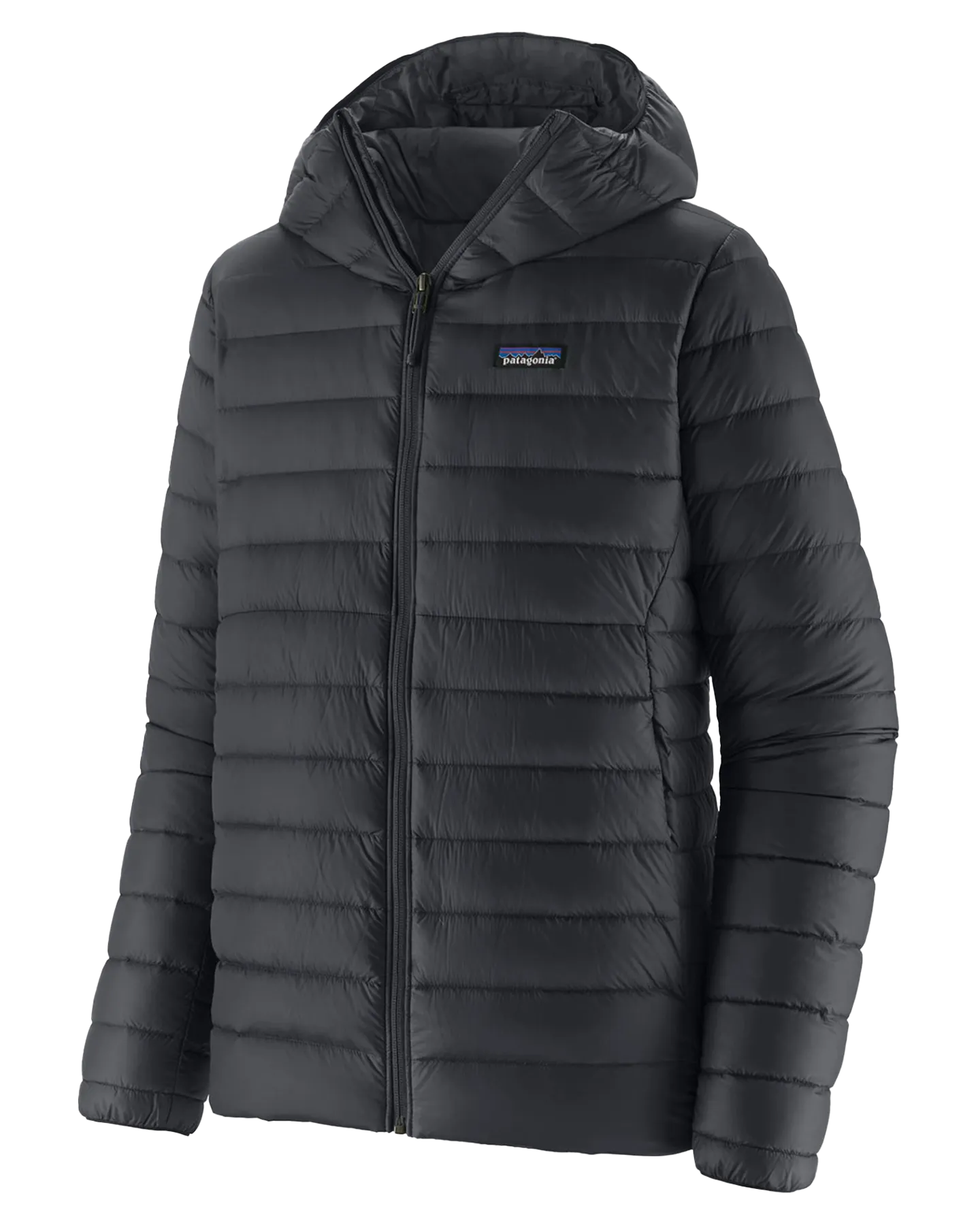 Patagonia Down Sweater Hoodie - Black | Shop Shirts & Tops at Trojan Wake Ski Snow & Snow Skiers Warehouse