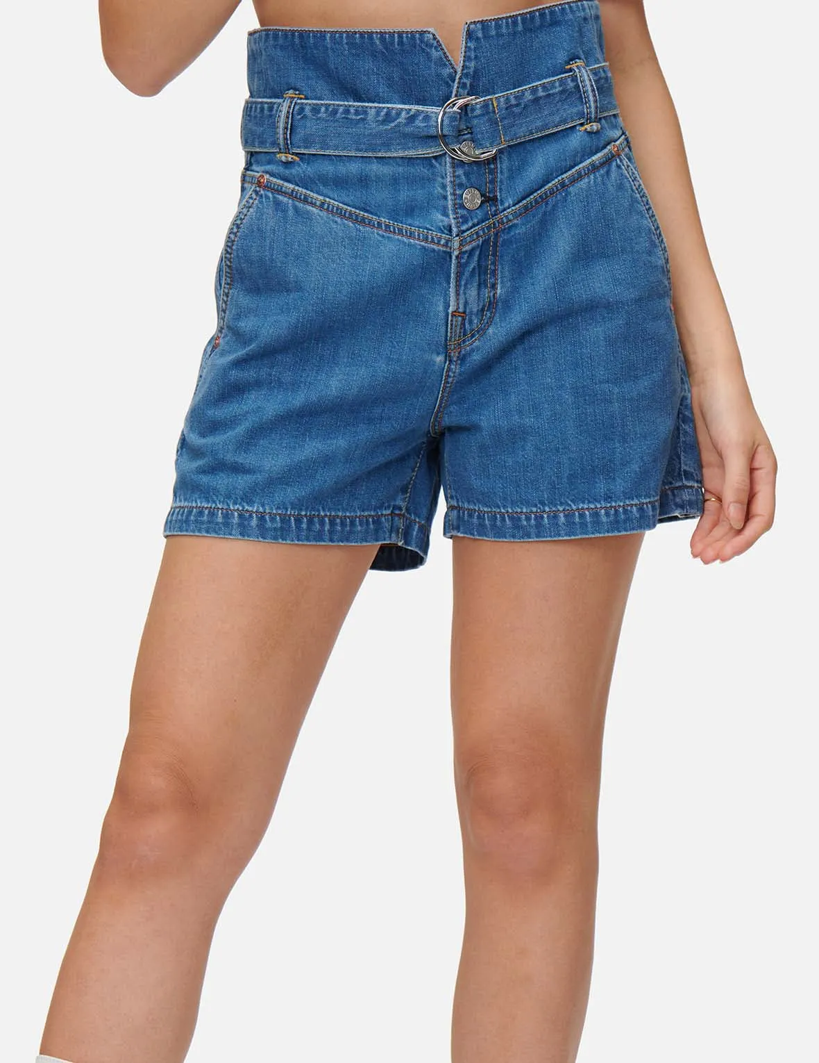 Pattern Seagull Embroidered Paper Bag Denim Shorts