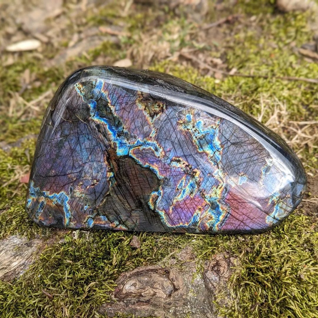 Pink, Purple and Rainbow Labradorite ~ Large, Amazing Flash Polished Freeform Display Specimen