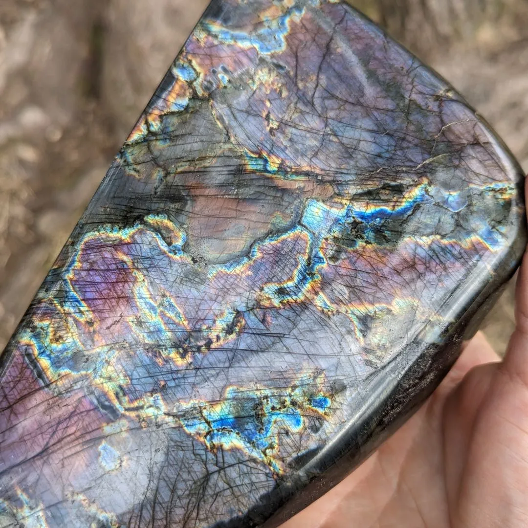 Pink, Purple and Rainbow Labradorite ~ Large, Amazing Flash Polished Freeform Display Specimen