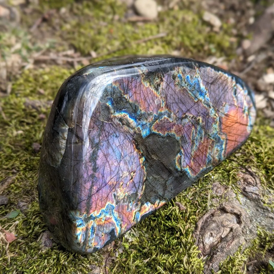 Pink, Purple and Rainbow Labradorite ~ Large, Amazing Flash Polished Freeform Display Specimen