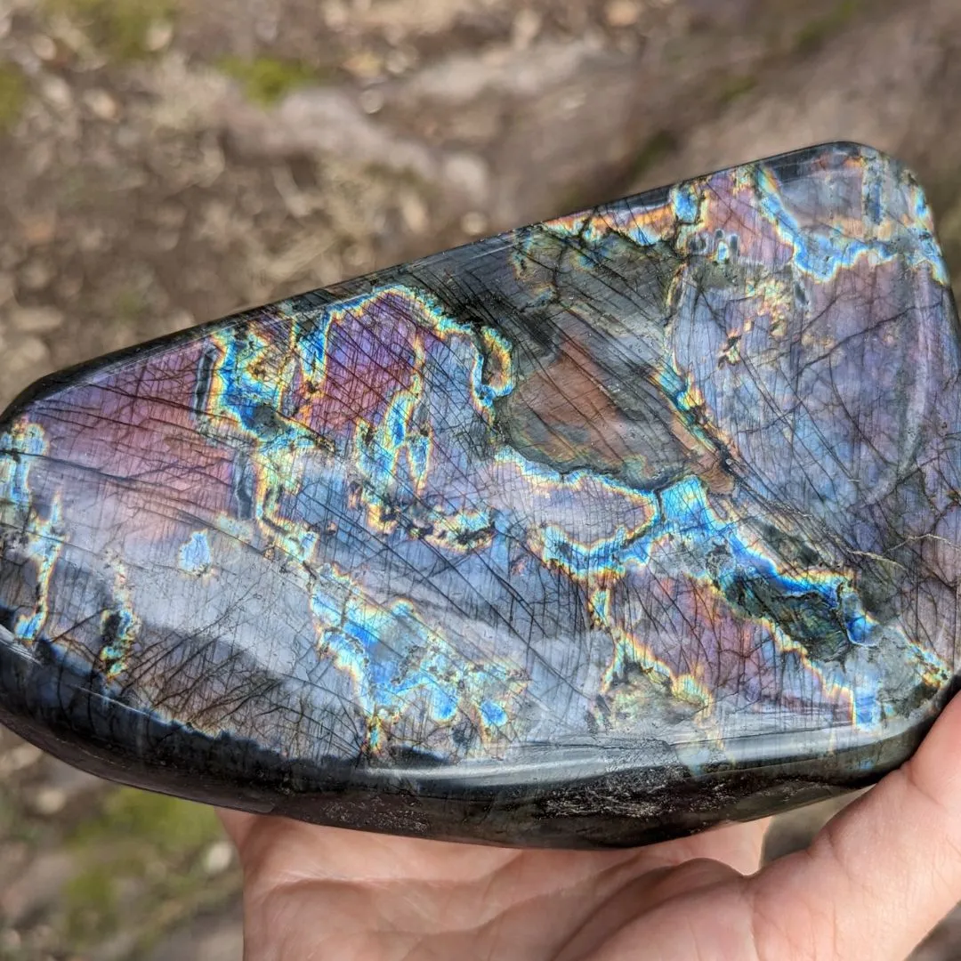 Pink, Purple and Rainbow Labradorite ~ Large, Amazing Flash Polished Freeform Display Specimen