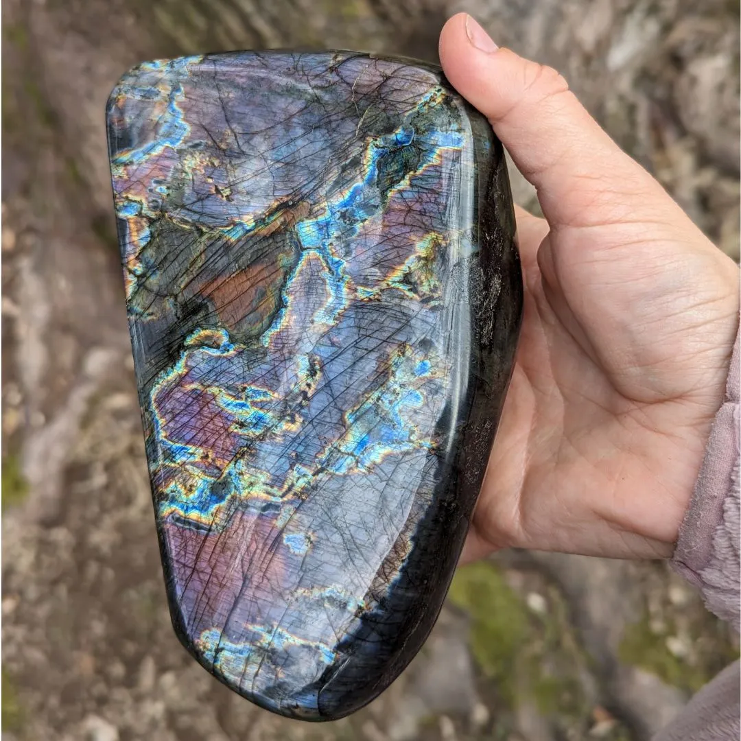 Pink, Purple and Rainbow Labradorite ~ Large, Amazing Flash Polished Freeform Display Specimen