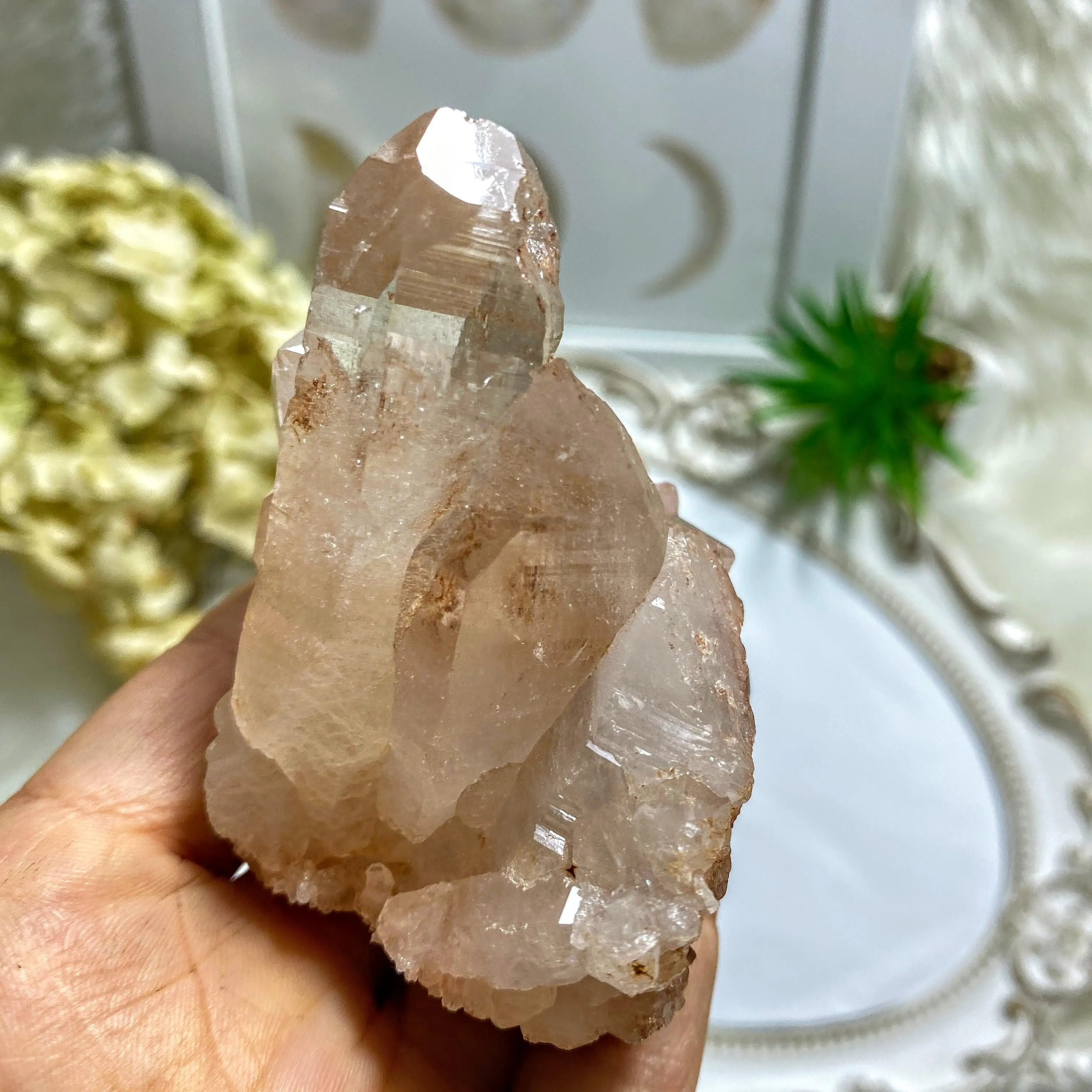 Record Keepers~ Rare, Large Rosy Pink Samadhi Himalayan Quartz Self Healed Cluster